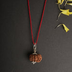 11 Mukhi Nepali Rudraksha - Gyaarah Mukhi