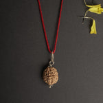 2 Mukhi Indian Rudraksha - Do Mukhi