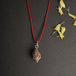 3 Mukhi Indian Rudraksha - Teen Mukhi