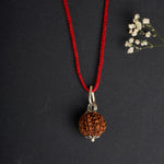 6 Mukhi Nepali Rudraksha - Chhey Mukhi