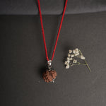 7 Mukhi Nepali Rudraksha - Saat Mukhi