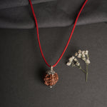 8 Mukhi Nepali Rudraksha - Aath Mukhi